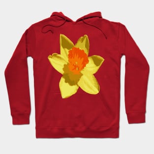 Spring Daffodil Vector Isolated Hoodie
